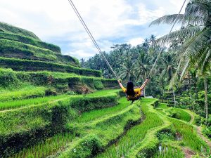 the-best-bali-swing-in-ubud